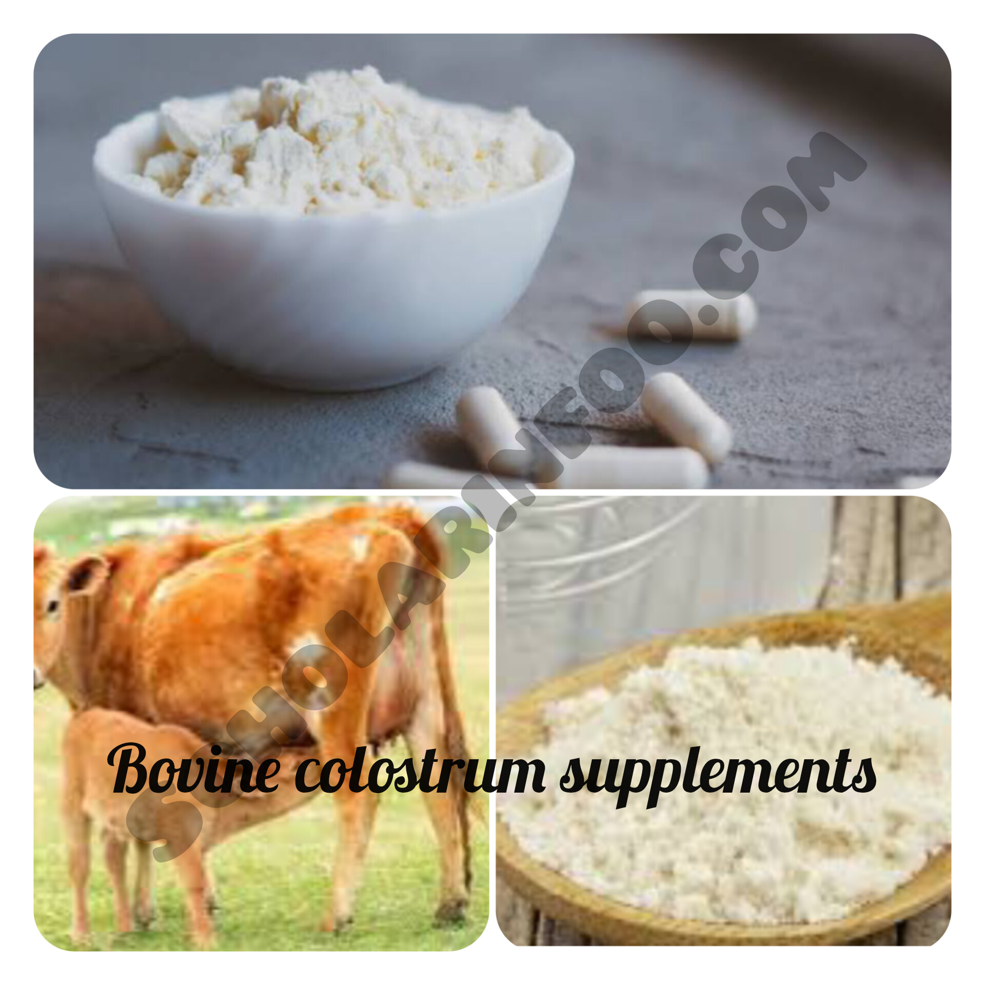 Bovine Colostrum Latest Trend on TikTok Is it?