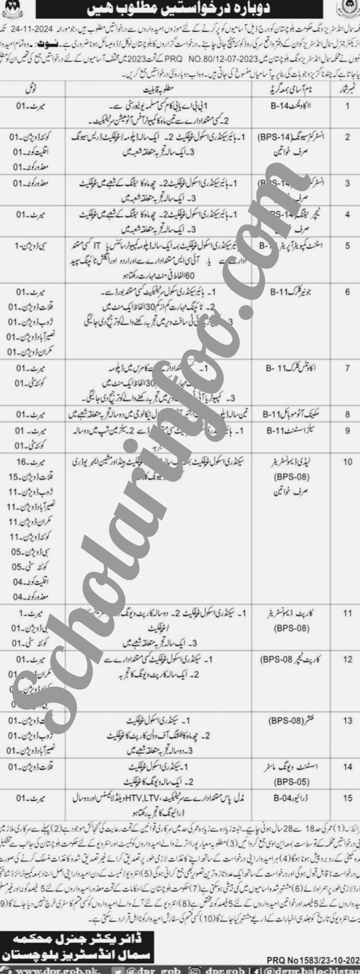 Small Industries Wing Balochistan Jobs 2024