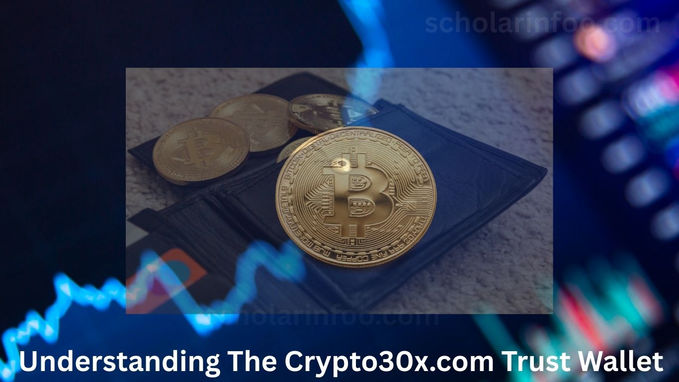 Understanding The Crypto30x.com Trust Wallet